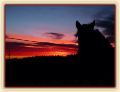 Zimní východ slunce