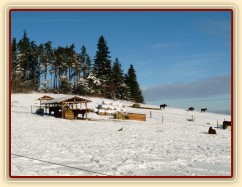 Zimní výběh, seníky