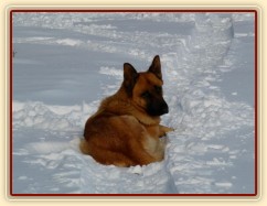 Nejlepší spaní je ve sněhu