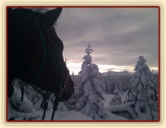 Novoroční vyjížďka, pohled z Oblíku na Ráchel (DE)