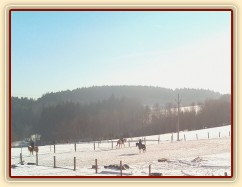 7.2.2015 - Příprava na sezónu je v plném proudu, písková jízdárna je perfektní i pod sněhem :-) 