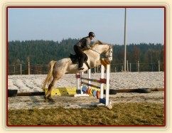 Dukát v březnu 2015