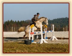 Dukát v březnu 2015