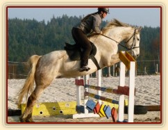 Dukát v březnu 2015