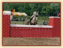 Skok mohutnosti, Chomutov 2003. Greisy s Radkou skáčí přez zeď vysokou 110cm, což je oficiálně jejich nejvyšší skočená překážka.