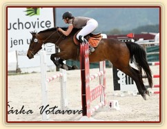 Ascara na KMK ve Zduchovicích 5.5.2015, parkur ZL