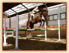 Skákání skokové řady