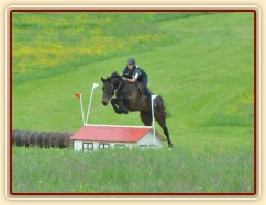 Chesterton, 4.místo v KMK v Borové 17.5. (všestrannost L) 