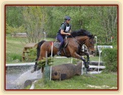 Bára, 8. místo ve všestrannosti L v Borové 17.5.