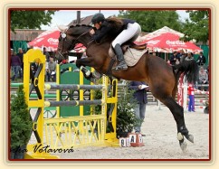 Chesterton, 5 . místo KMK Mariánské Lázně 17.6,  parkur L**