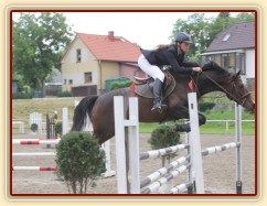 Fivitas Dei, 3 . místo Klatovy parkur Z,  20.6.