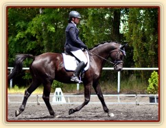 Carthago 2x 2. místo drezura stupně L, Plzeň 11.7.