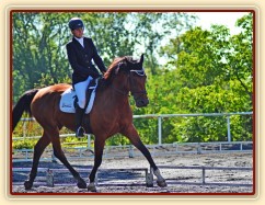 Bára 3. místo drezura stupně Z, Plzeň 11.7.