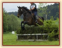 Chesterton 4. místo všestrannost S (CNC*), Borová 20.9.