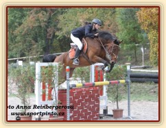 Bára 9. místo Pražské skokové derby Gabrielka 10.10.