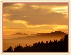 Mlhavá podzimní rána