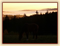 Mlhavá podzimní rána