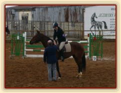 Dekorování závodu ZL - 9. místo