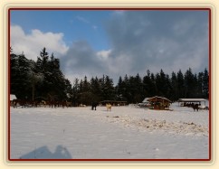 Všichni koně už jsou v zimovišti