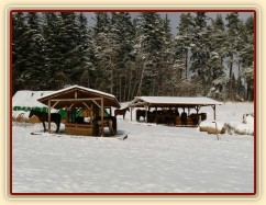 Zastřešené krmelce se těší velké oblibě 