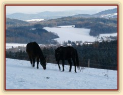 Kluci bloumají ve sněhu 