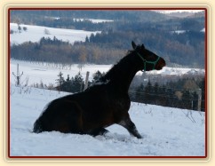 Válení ve sněhu je super:-)