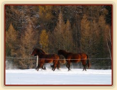 I holky ve sněhu řádily 