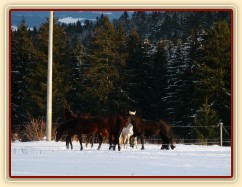 I holky ve sněhu řádily 