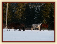 I holky ve sněhu řádily 