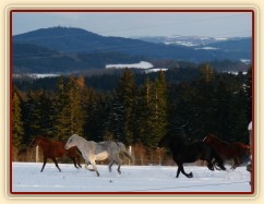 I holky ve sněhu řádily 