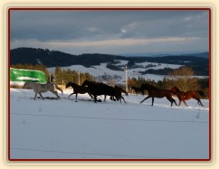 I holky ve sněhu řádily 