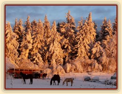 Brzké ráno, východ slunce 