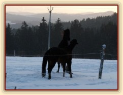 I kobyly si dokážou hrát jak hřebci/valaši :-)