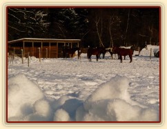 Sněhu je u nás spousta :-)