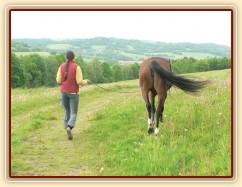 Vycházka před crossovou částí military