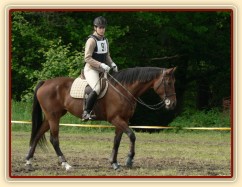 Opracovávání před crossem