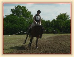 Opracovávání před crossem