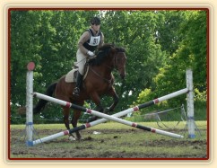 Opracovávání před crossem