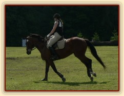 Příprava před startem crossu