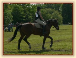 Příprava před startem crossu