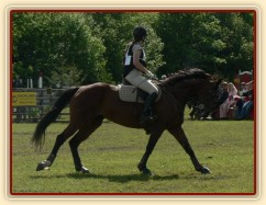 Příprava před startem crossu
