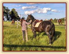 Solo Elpasa, obsedání, červen 2016
