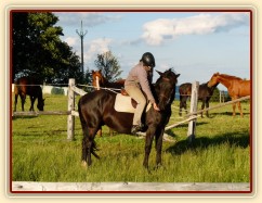 Solo Elpasa, obsedání, červen 2016