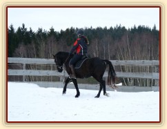 Solo Elpasa, leden 2017