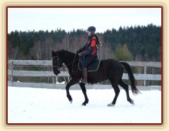 Solo Elpasa, leden 2017