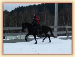 Solo Elpasa, leden 2017