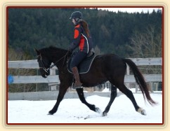 Solo Elpasa, leden 2017