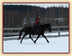 Solo Elpasa, leden 2017