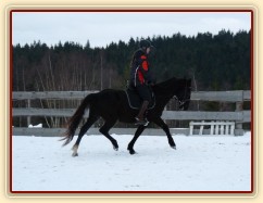 Solo Elpasa, leden 2017