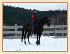 Solo Elpasa, leden 2017